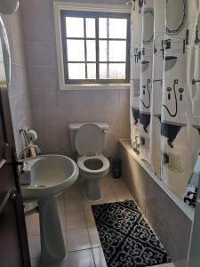 y baño con aseo, lavamanos y cortina de ducha. en Christos Apartments en Droushia