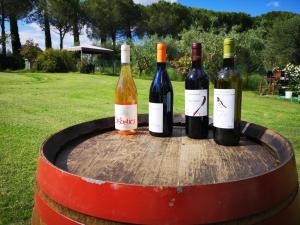 cuatro botellas de vino sentadas en un barril en Poggio del Sole, en Castiglione del Lago