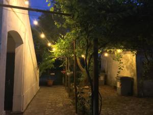 Zahrada ubytování Il Paradiso dei nidi
