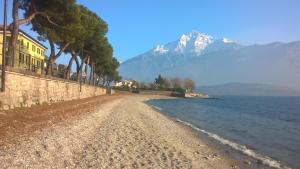 a beach with trees and a mountain in the background at LITTLE FLOWER in Domaso
