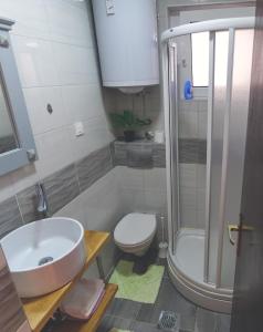 La salle de bains est pourvue d'un lavabo, de toilettes et d'une douche. dans l'établissement Apartment LIM, à Budva