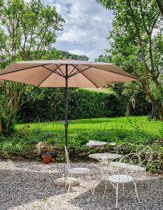 Zahrada ubytování Villa Ricci Suites