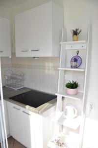 Kuchyň nebo kuchyňský kout v ubytování Apartmani Novosel
