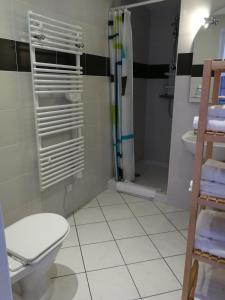 een badkamer met een toilet en een douche bij Auberge du Vieux Tour in Canapville
