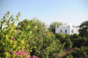 A garden outside Hotel Gulec