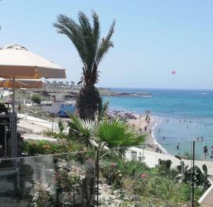 a beach with a palm tree and people in the water at Family Paradise- luxury combined with home comfort in Paphos City