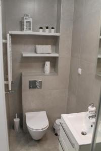 a small bathroom with a toilet and a sink at Dream Apartment in Karpacz