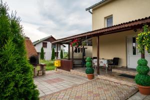 a home with a patio and a house at Pensiunea elena in Tăşnad