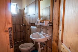 a bathroom with a sink and a toilet at Pensiunea elena in Tăşnad