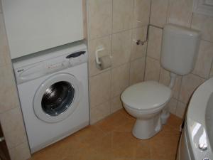 ein Badezimmer mit Toilette und Waschmaschine in der Unterkunft Strandhaus Deichkrone in Baabe