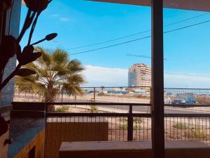 una ventana con vistas a la playa y una palmera en Grato Departamento frente a la playa, con Jacuzzi en Arica