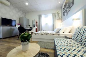 TV a/nebo společenská místnost v ubytování Studio apartman Summer Flower