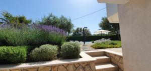 een tuin met struiken en paarse bloemen naast een gebouw bij Apartments Sunny Estate in Zaton