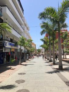 a city street with palm trees and buildings at Bubu Beach 1-B in Los Cristianos