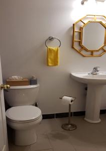 uma casa de banho com um WC branco e um lavatório. em Campbellford Studio Apt 4 em Campbellford