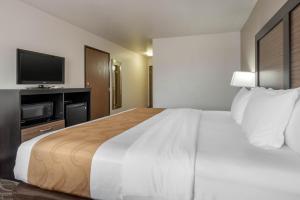Postel nebo postele na pokoji v ubytování Quality Inn & Suites