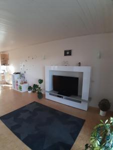 a living room with a large flat screen tv at Ferienwohnung Heck in Waldeck