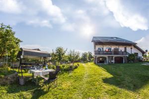a house with a picnic table in the yard at Casa de vacanta Mirela in Novaci-Străini
