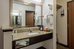 Koupelna v ubytování Quality Inn & Suites