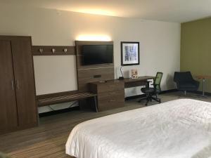 a hotel room with a bed and a desk and a television at Holiday Inn Express - Grand Island by IHG in Niagara Falls