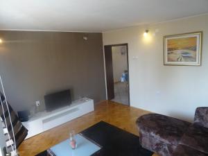 een woonkamer met een bank en een flatscreen-tv bij Amalia Belvedere in Rijeka