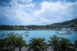 a group of boats in a harbor with palm trees at Hotel Della Baia in Portovenere