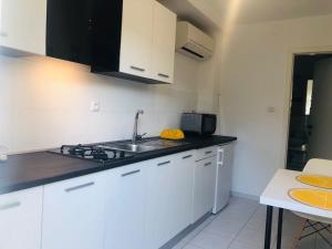 Kuchyň nebo kuchyňský kout v ubytování Apartman Nekic