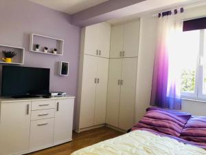 TV a/nebo společenská místnost v ubytování Apartman Nekic