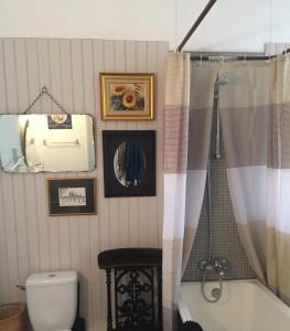 a bathroom with a tub and a toilet and a mirror at La Grenouille Noire in Marcillat-en-Combraille +26 photos