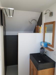 a bathroom with a sink and a mirror at Angers Green Lodge - Yellow Sun Appartement in Angers