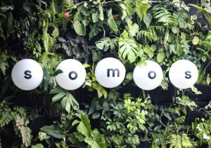 Certifikát, hodnocení, plakát nebo jiný dokument vystavený v ubytování The Somos Beats Hotel & Rooftop
