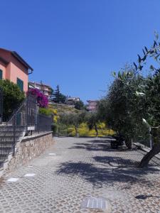 una calle adoquinada con un árbol y un edificio en Barbara's House - Liguria en Santo Stefano al Mare