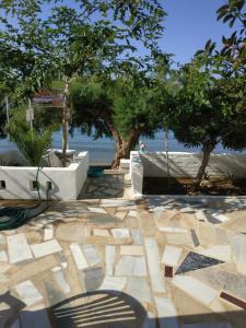 une ombre d'une chaise sur un patio arboré dans l'établissement Creta Sun Apartments, à Makry Gialos