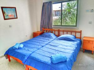 1 dormitorio con 2 camas con sábanas azules y ventana en Constantaras Apartments, en Protaras