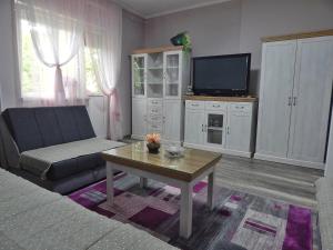 a living room with a tv and a coffee table at Apartman Centar in Bački Petrovac