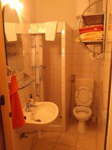 馬斯林尼采的住宿－Lilo，一间带卫生间和水槽的小浴室