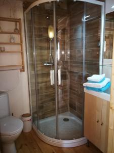 a shower with a glass door in a bathroom at Giteovosges in La Croix-aux-Mines