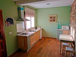 a kitchen with green walls and a sink at Apartamentos Casa do Bouza Vello in Sober +21 photos