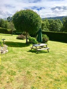 a picnic table with a green umbrella in the grass at Forest View - Adults Only - Maximum 2 Guests in Drumnadrochit
