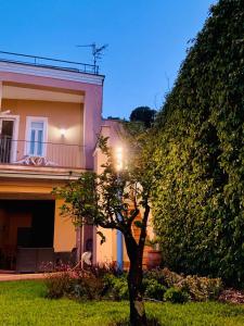 Zahrada ubytování B&B Villa Etelka