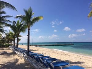 a beach with chairs and palm trees and a pier at Allegro Cozumel All-Inclusive in Cozumel