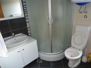 Koupelna v ubytování Apartment Pijaca