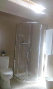 ein Bad mit einer Dusche und einem WC in der Unterkunft Aliciamar E by Casas de Setúbal in Setúbal