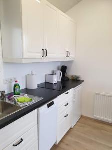 Kuchyň nebo kuchyňský kout v ubytování Hvammból Guesthouse