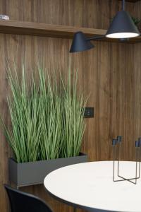 a room with a white table and a potted plant at City Center Apartment in Siauliai in Šiauliai