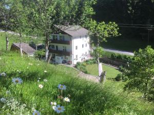 ein Haus auf einem Hügel mit einem Blumenfeld in der Unterkunft Ginnys place in Kötschach