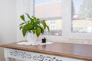 Fotografie z fotogalerie ubytování Morgenstern B&B v destinaci Pärnu