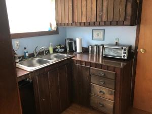a kitchen with a sink and a microwave at Hollis Creek Cabin in Hollis
