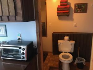 a small bathroom with a toilet and a microwave at Hollis Creek Cabin in Hollis