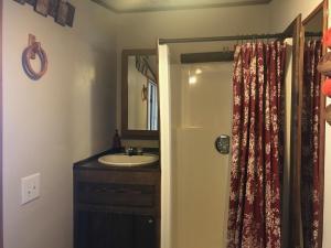 a bathroom with a sink and a mirror at Hollis Creek Cabin in Hollis